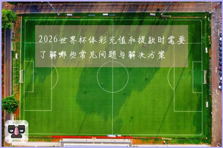 2026世界杯体彩充值和提款时需要了解哪些常见问题与解决方案