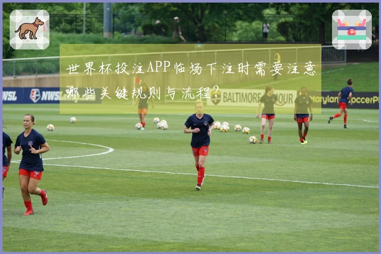 世界杯投注APP临场下注时需要注意哪些关键规则与流程?